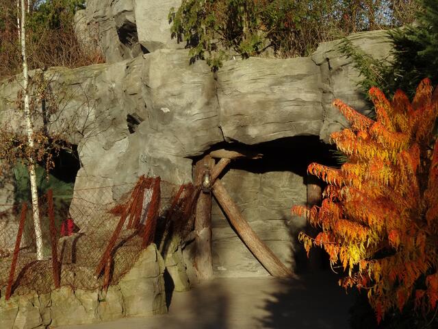 Indian Summer im Erlebniszoo Hannover