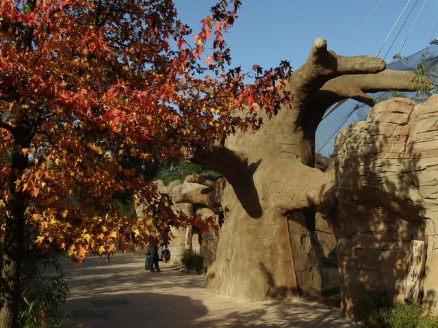 Indian Summer im Erlebniszoo Hannover