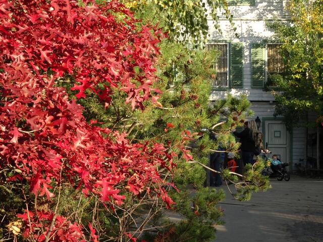 Indian Summer im Erlebniszoo Hannover