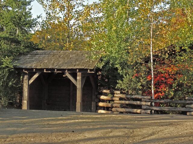Indian Summer im Erlebniszoo Hannover
