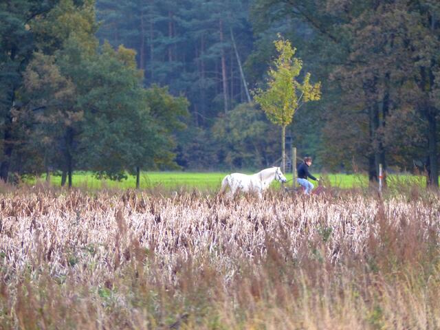 Unterwegs mit Rad und Pferd...