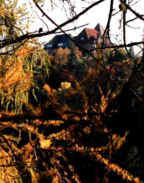 Herbstblick auf die Burg Lichtenfels