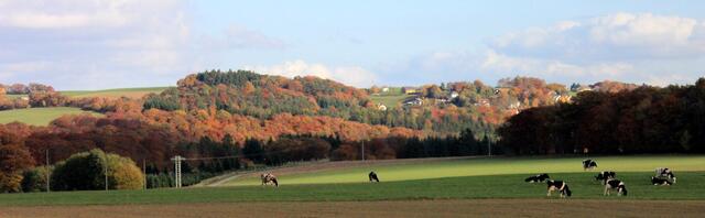 Blick auf Fürstenberg