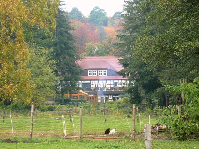 Farbenfrohe Herbstbäume rahmen das Hotel wunderschön ein.