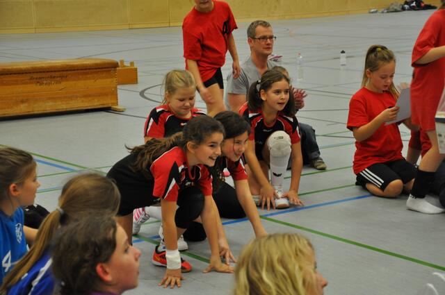 Seelze in Startposition...