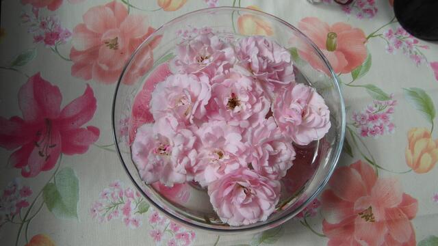 Begrüßungsrosen zu Tisch !