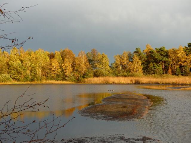 Der Würmsee wird für einen kurzen Moment in eine eindrucksvolle Lichtstimmung getaucht...Wir sehnen uns nicht nach bestimmten Plätzen zurück, sondern nach Gefühlen, die sie in uns auslösen (Anonym).