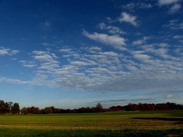 "Himmlische Weite, himmlisches BLAU" - endloser Himmel über dem "Norddeutschen Flachland". Auch so zeigte sich der Herbst 2013.