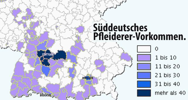 Ganz klar: Der Großraum Stuttgart ist Pfleiderer-Hochburg.