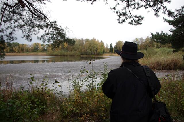 Der Rundgang um den Würmsee - in Burgwedel - wird immer wieder von neuen Eindrücken geprägt. Der Würmsee ist nun wieder stellenweise trockengefallen.