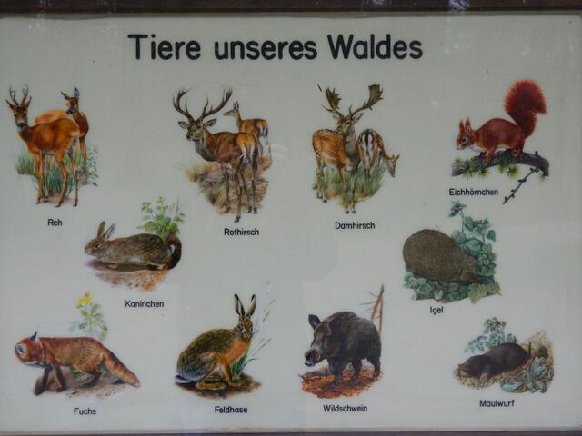 Uns soll es hier geben (Bild von Infotafel)