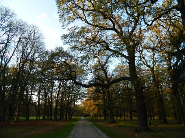 Weiter durch den Park