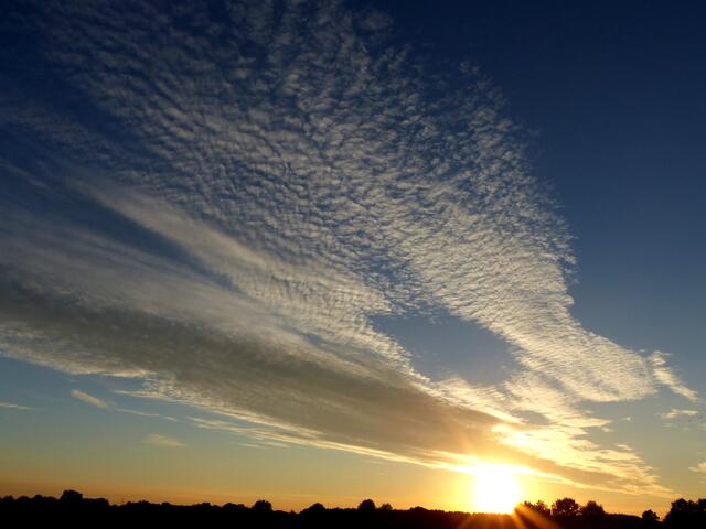 Ein "Wolkenbild" am Himmel. Fantasie ist die Gabe unsichtbare Dinge zu sehen. (Jonathan Swift). Was seht ihr?