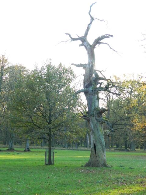 Der Alte will dem Jungen was erzählen
