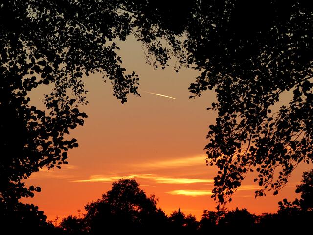 Ein Romantischer Sonnenuntergang! Ein "Abendlicher Scherenschnitt" vor  einer farbenrächtigen Kulisse.