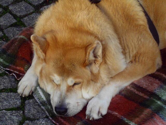 In der Ruhe liegt die Kraft