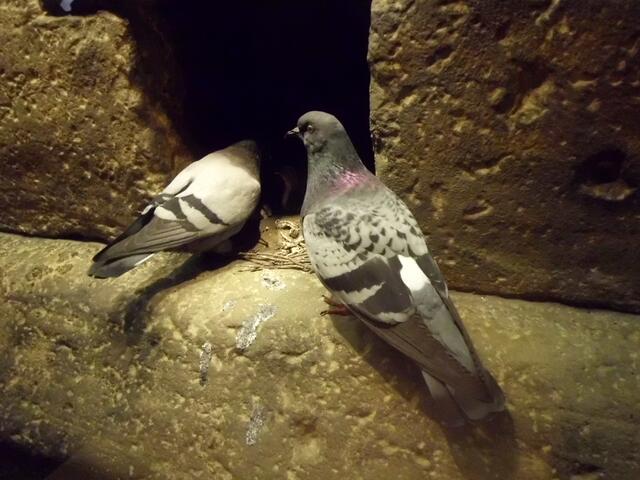 ... aber sich auch nicht verstecken