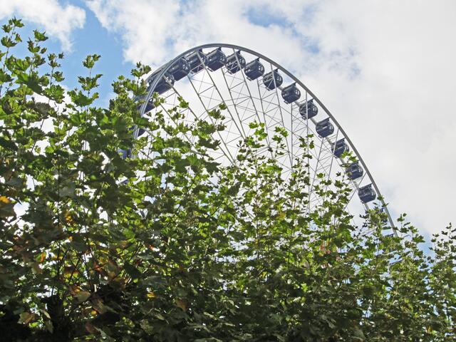 Düsseldorf   24.10.2013