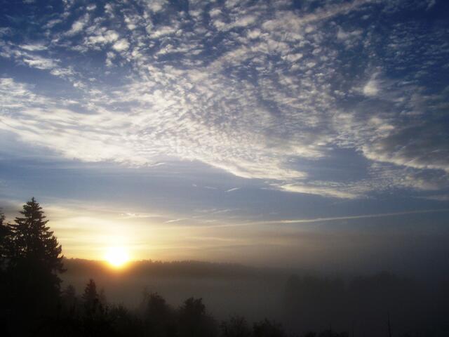 Sonnenaufgang im Nebel