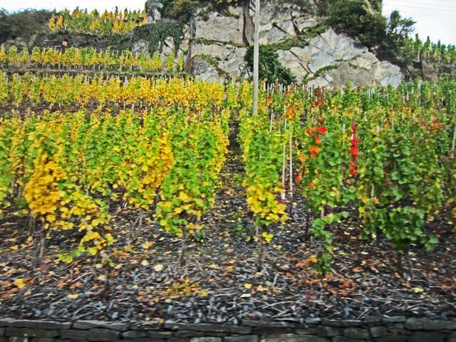 26.10.2013 Ahrweiler und Ahrtal, Martini Markt in Linz.  
Rundfahrt ins Ahrtal.