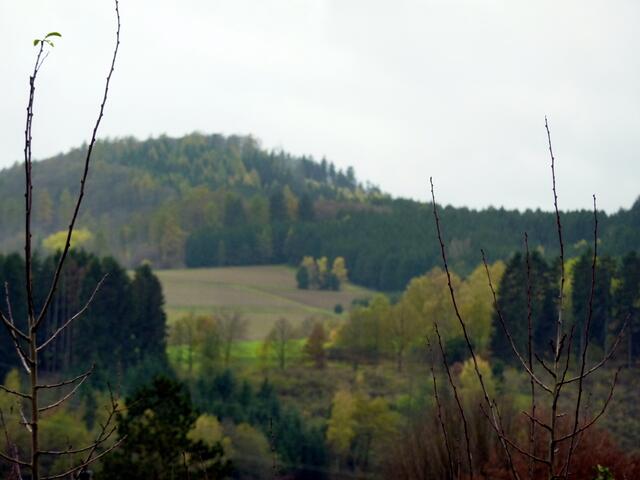 Maler Herbst
