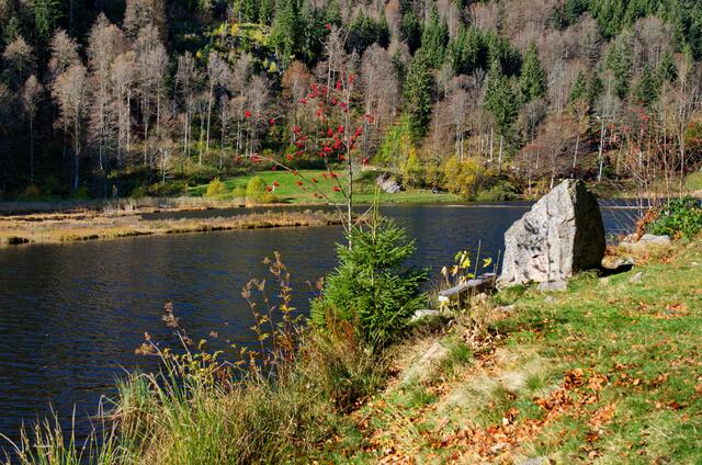 Der Nonnemattweiher im Hochschwarzwald