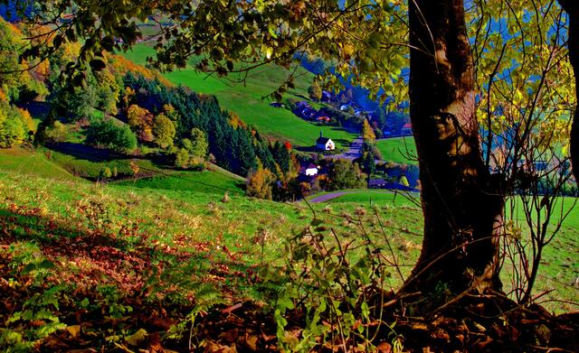 Im Münstertal