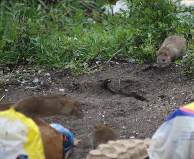 Ob ich da auch was bekomme?