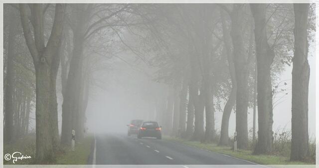 Fahrt ins Nichts...