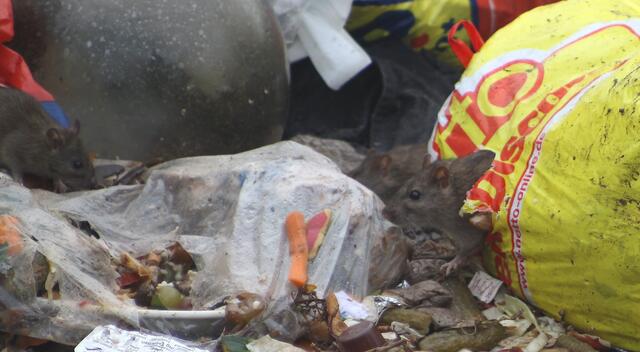 Das Angebot bei Netto ist recht interessant