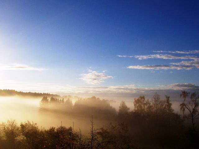 Morgenstimmung; ein Beitrag zu Nebelwelten.