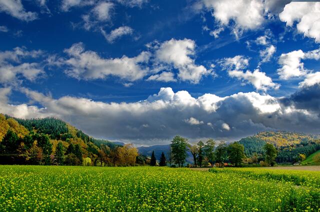 Im Hintergrund das Belchenmassiv