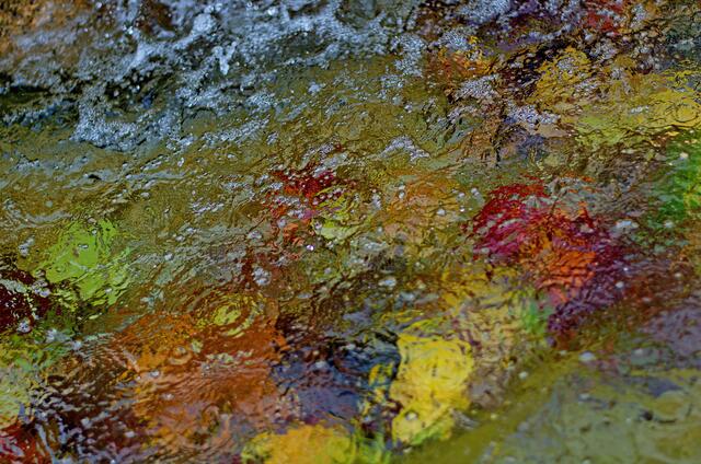 Herbstlaub im Brunnen unter Wasser