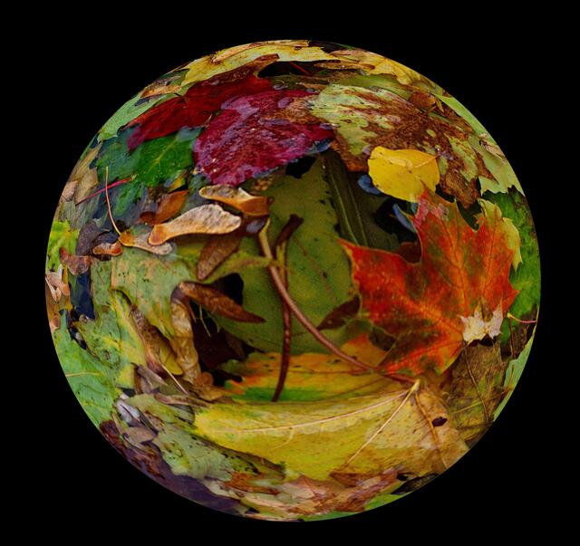 Den Herbst eingefangen in einer Glaskugel