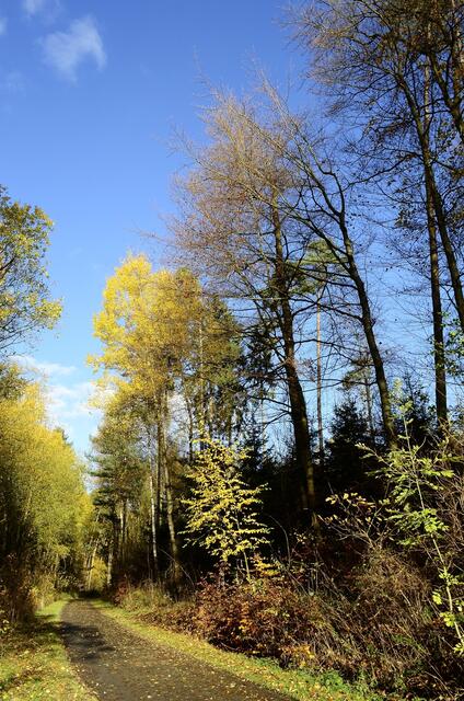 An der Ostseite des Twistesees - gleich geht es bergauf............