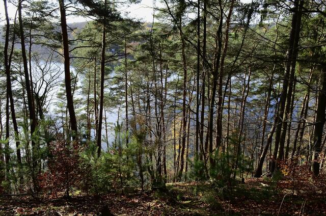 Fast oben - auf der gegenüber liegenden Seite ist (war) das Strandbad
