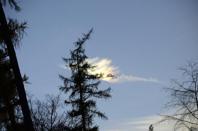 Der erste Halo - links von der Sonne