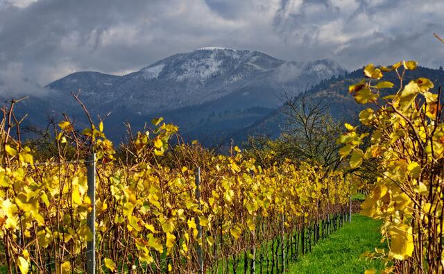 Unten Herbst, oben Winter