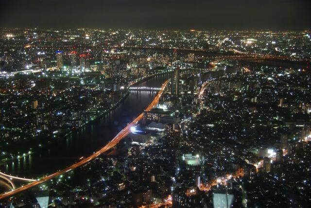 Blick aus der Aussichtskanzel in 350 m Höhe auf Tokio