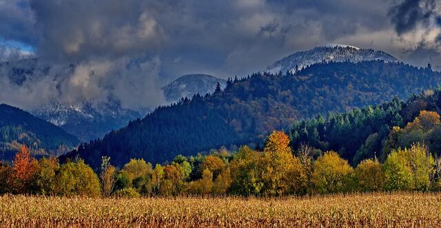 Kontraste, Wintereinzug auf dem Belchen