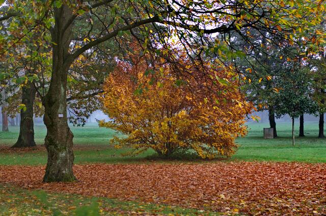 Im Kurpark