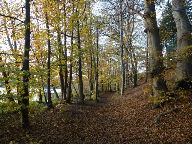 Rundwanderweg am Seedorfer Küchensee