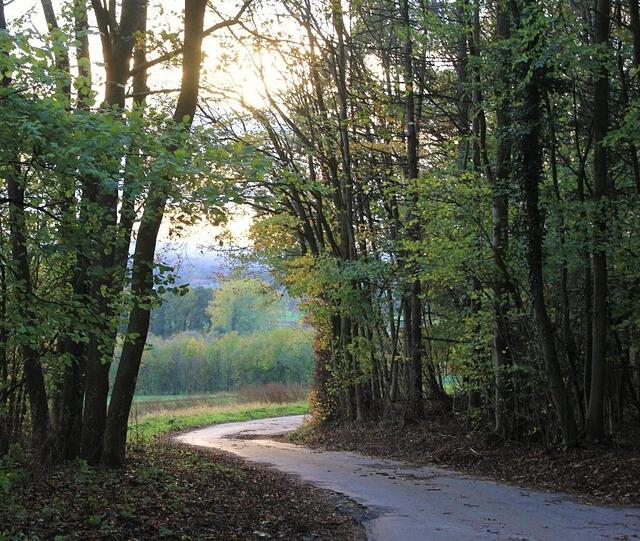 Oft liegt das Ziel nicht am Ende des Weges, sondern irgendwo an seinem Rand.
Ludwig Strauss