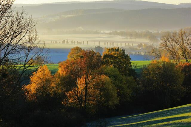 Die Sonne erreicht die Baumwipfel.