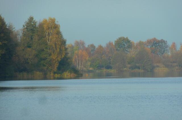 Nun hat die Sonne den Nebel durchdrungen und lässt die schöne Herbstfärbung der Bäume leuchten.