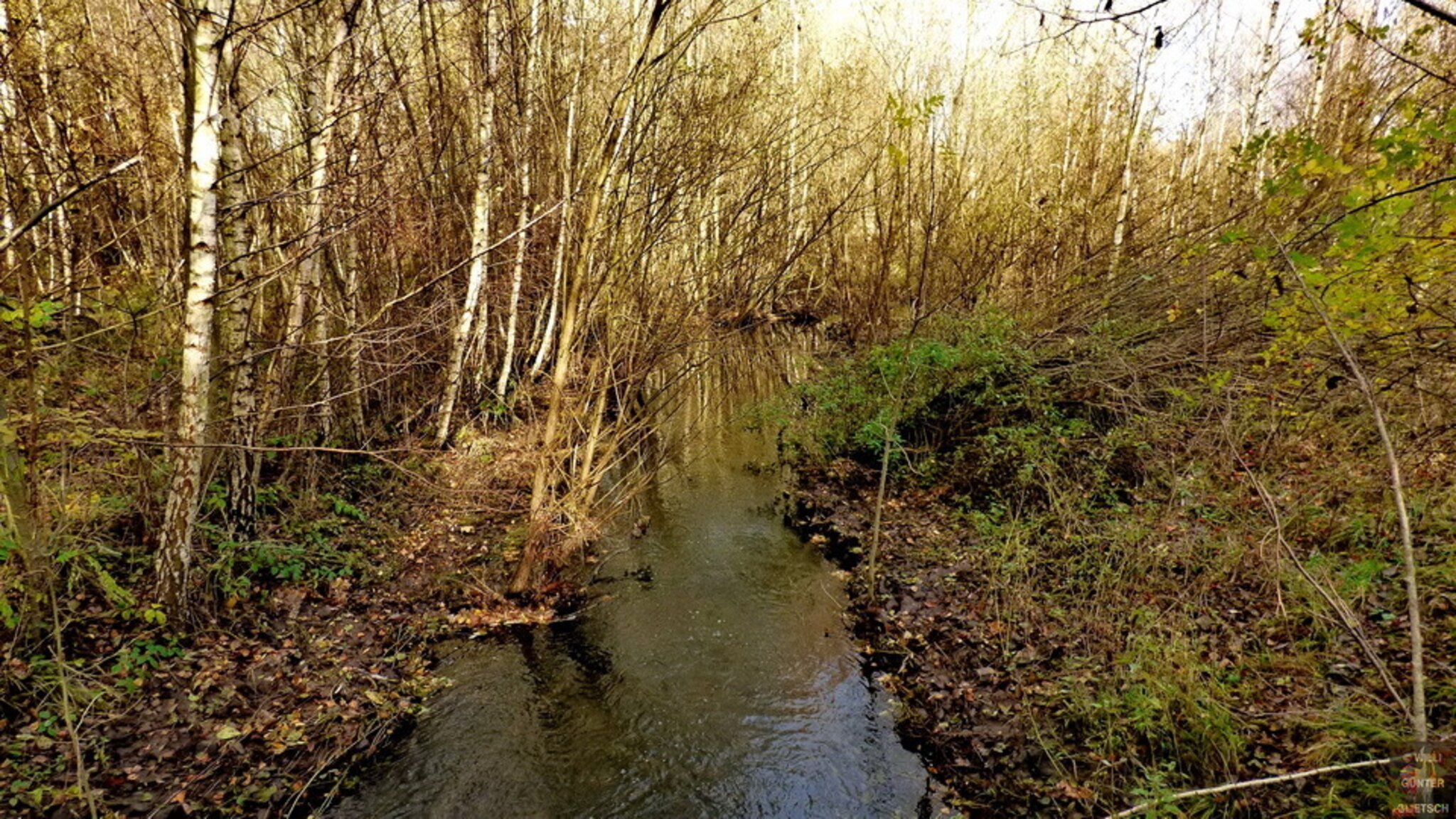 Am Borkener See Edertal