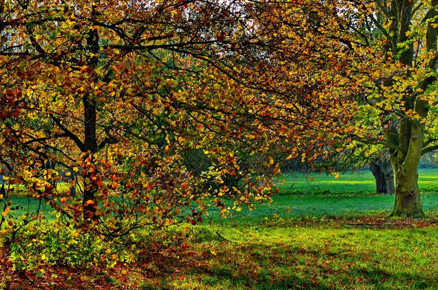 Herbst im Kurpark