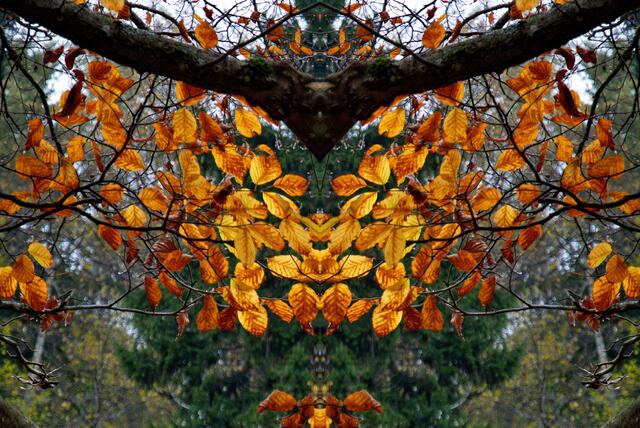 Spiegelbild