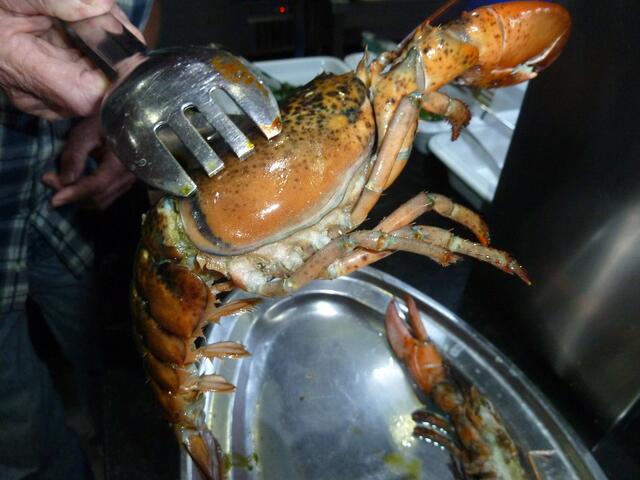 Nicht jedermanns Sache