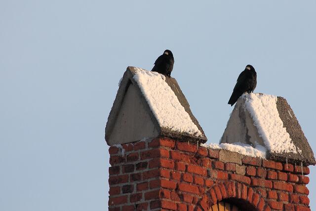 Mal sehn, wie es da in diesem Jahr aussieht...